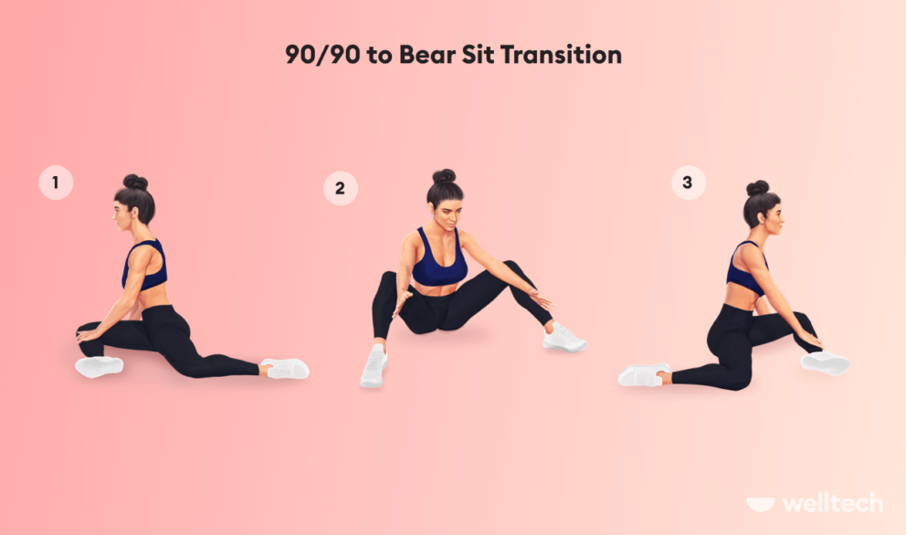Bear to Sit Transition