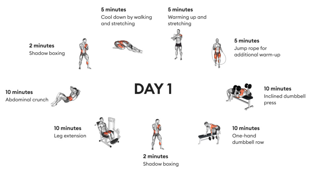 Muscle gain workout for beginners. Day 1.