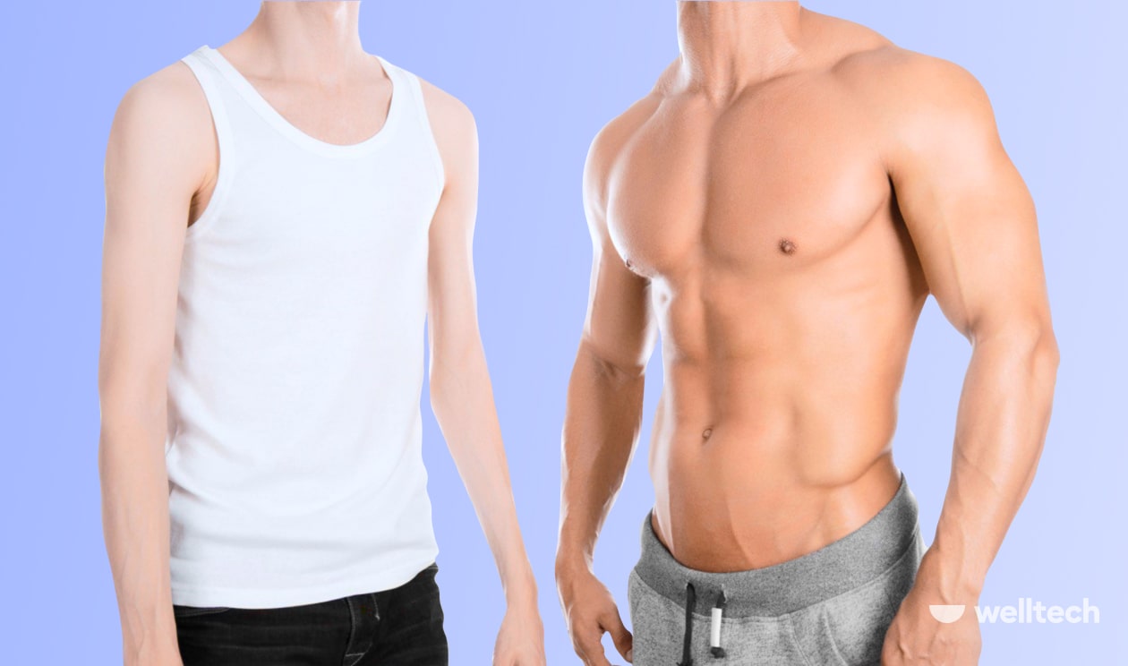 Sculpt Your Dream Body: A Comprehensive Guide to Muscle Building For Men