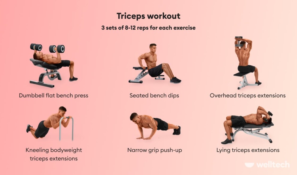 triceps workout chart