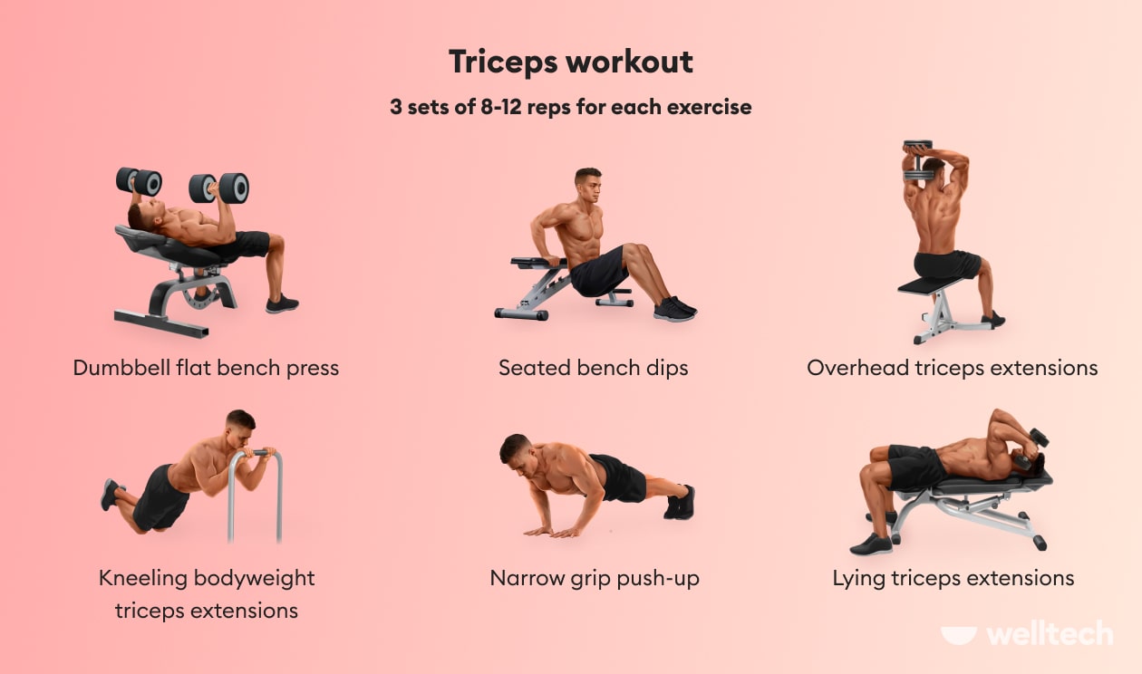 Triceps Workout 6 Beginner Friendly Exercises With And Without Dumbbells B t Ch Xanh