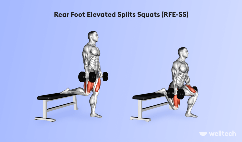 Rear_Foot_Elevated_Splits_Squat