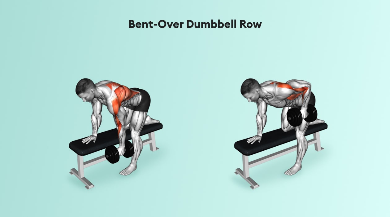 bent over dumbbell row