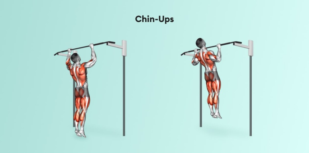chin ups back and bicep workout