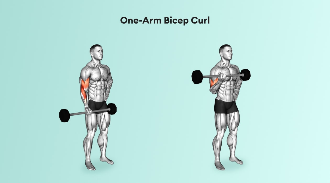 Sinew Nutrition on X: Biceps and back workout training at gym
