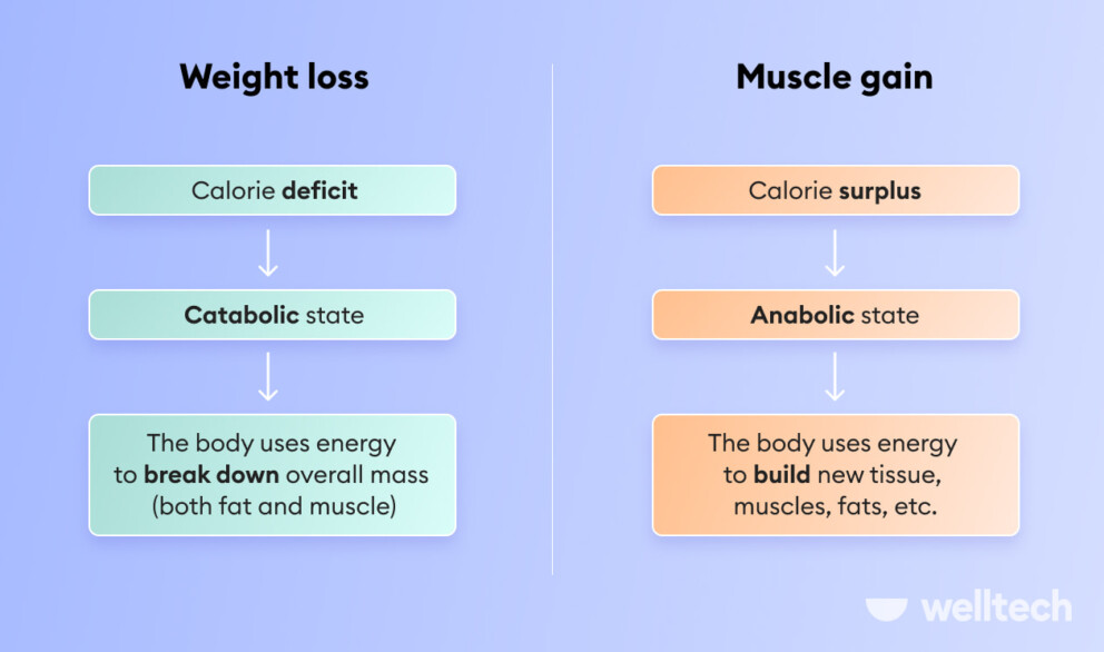 weight loss vs muscle gain calorie intake, catabolic and anabolic state