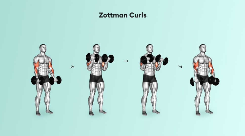 zottman curl back and bicep workout