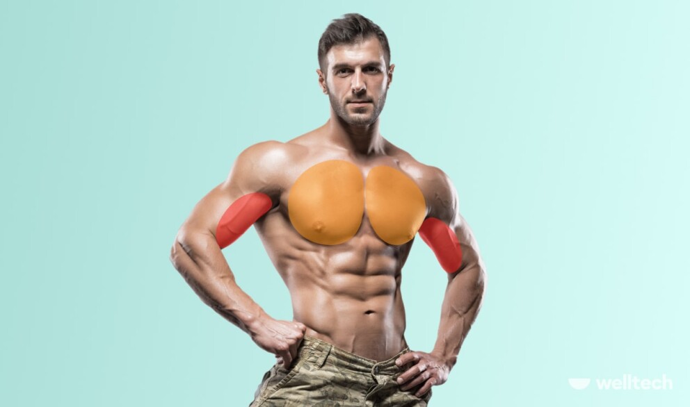 chest and bicep workout, a man with chest and bicep muscles highlighted