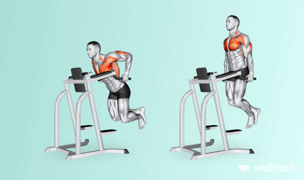 The Ultimate Chest and Bicep Workout to Feel the Pump - Welltech