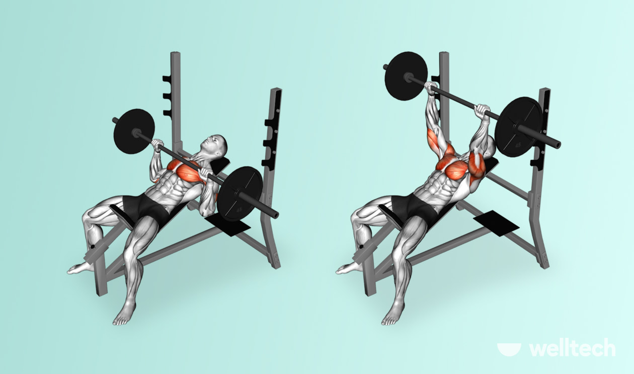 man is doing Incline Bench Press_chest and bicep workout