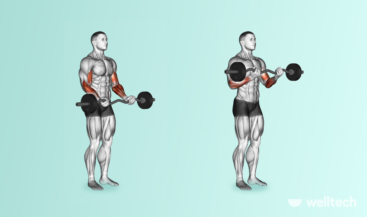Chest and biceps super set workout 