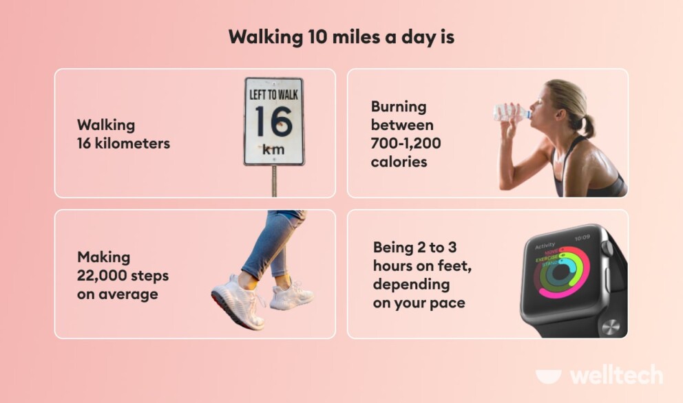 Walking 10 miles a day, how much steps, kilometres, and calories burned 