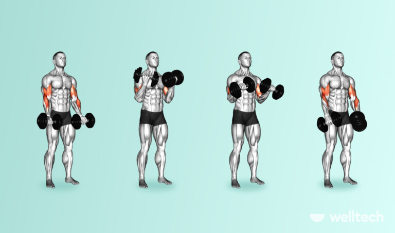 The Ultimate Chest and Bicep Workout to Feel the Pump - Welltech