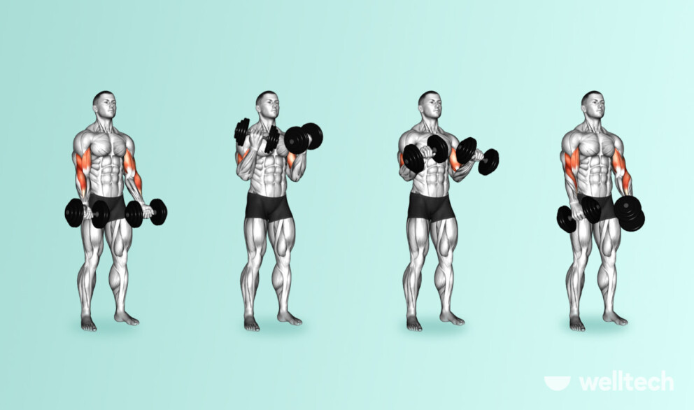 man is performing Zottman Bicep Curls with dumbbells, chest and bicep workout