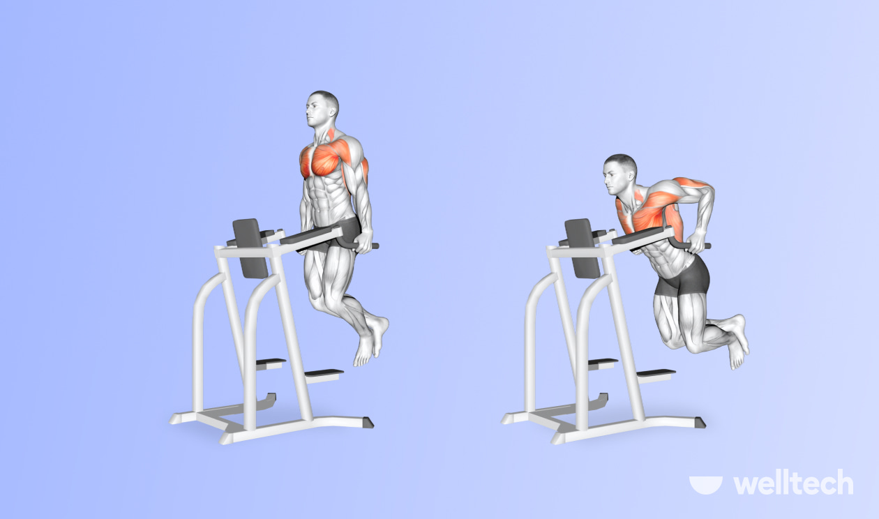 Leg Raise Captain's Chair with Dip and Push Up Station  Vertical knee  raise, Total workout, Body weight training