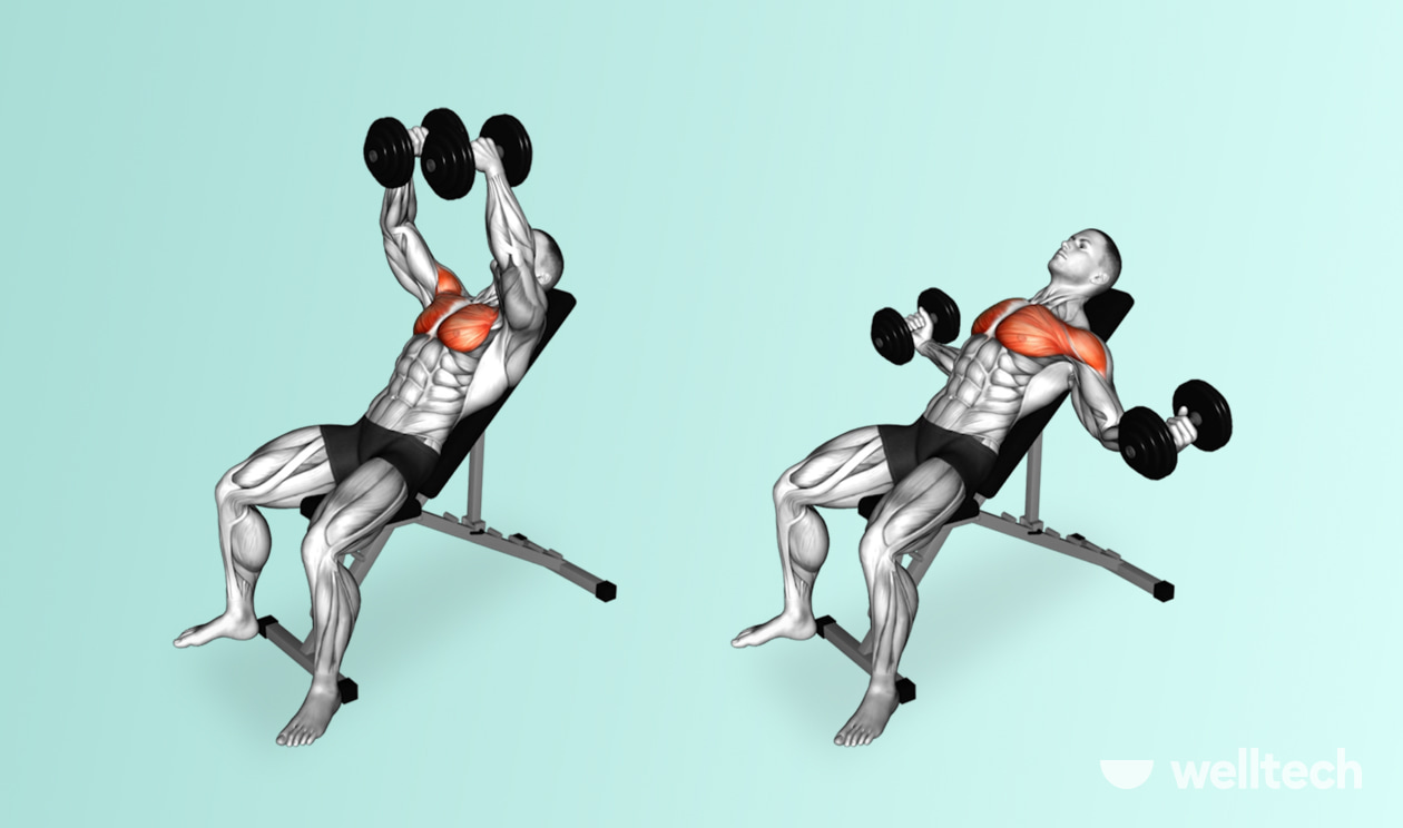 Chest and Bicep Workout