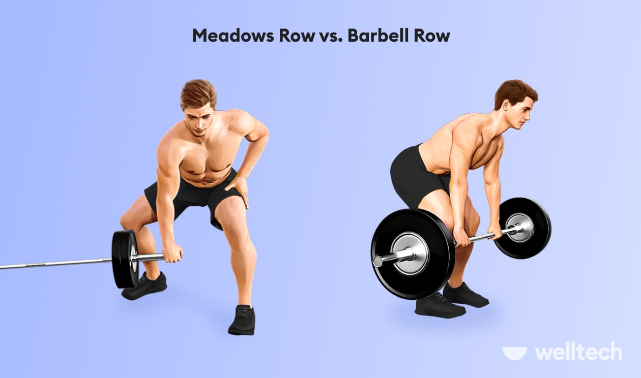 meadows row vs barbell row comparison picture
