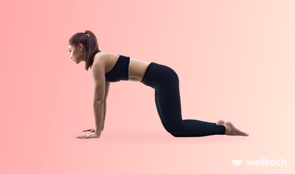 a woman is performing Table Top Pose_yoga arm balances