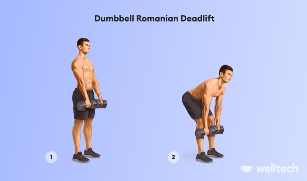 a man is performing Dumbbell Romanian Deadlift_dumbbell glute exercises