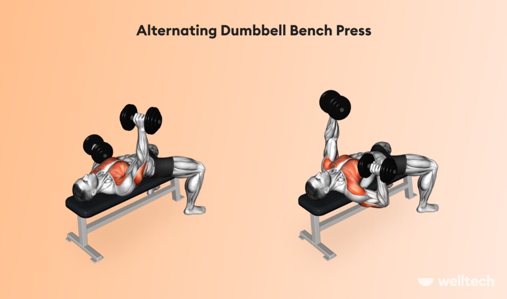 a man is doing Alternating Dumbbell Bench Press_chest and shoulder workout
