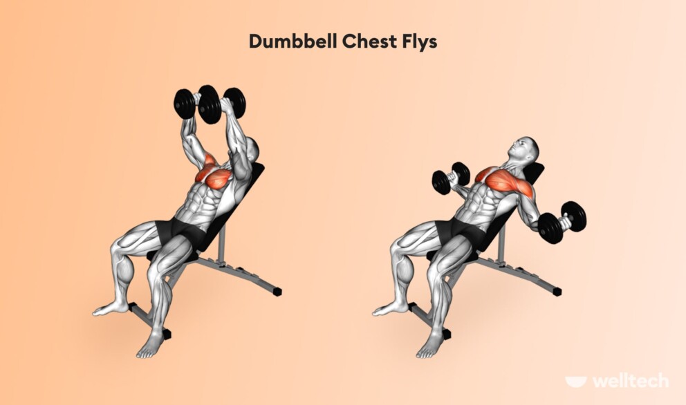 a man is doing Dumbbell Chest Flys_chest and shoulder workout