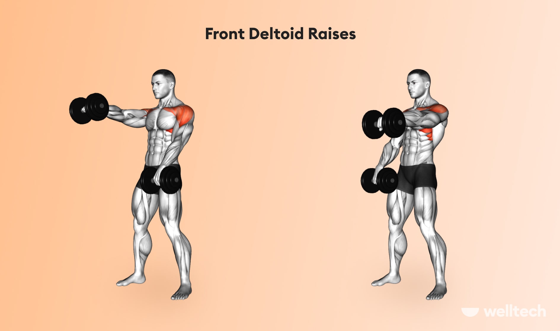 Back and Shoulder Workout to Beef Up Your Upper Body - Welltech