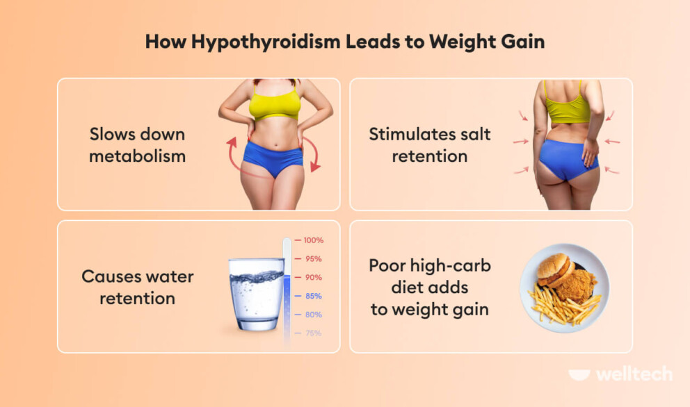 hypothyroidism-and-intermittent-fasting-is-it-a-good-idea-welltech