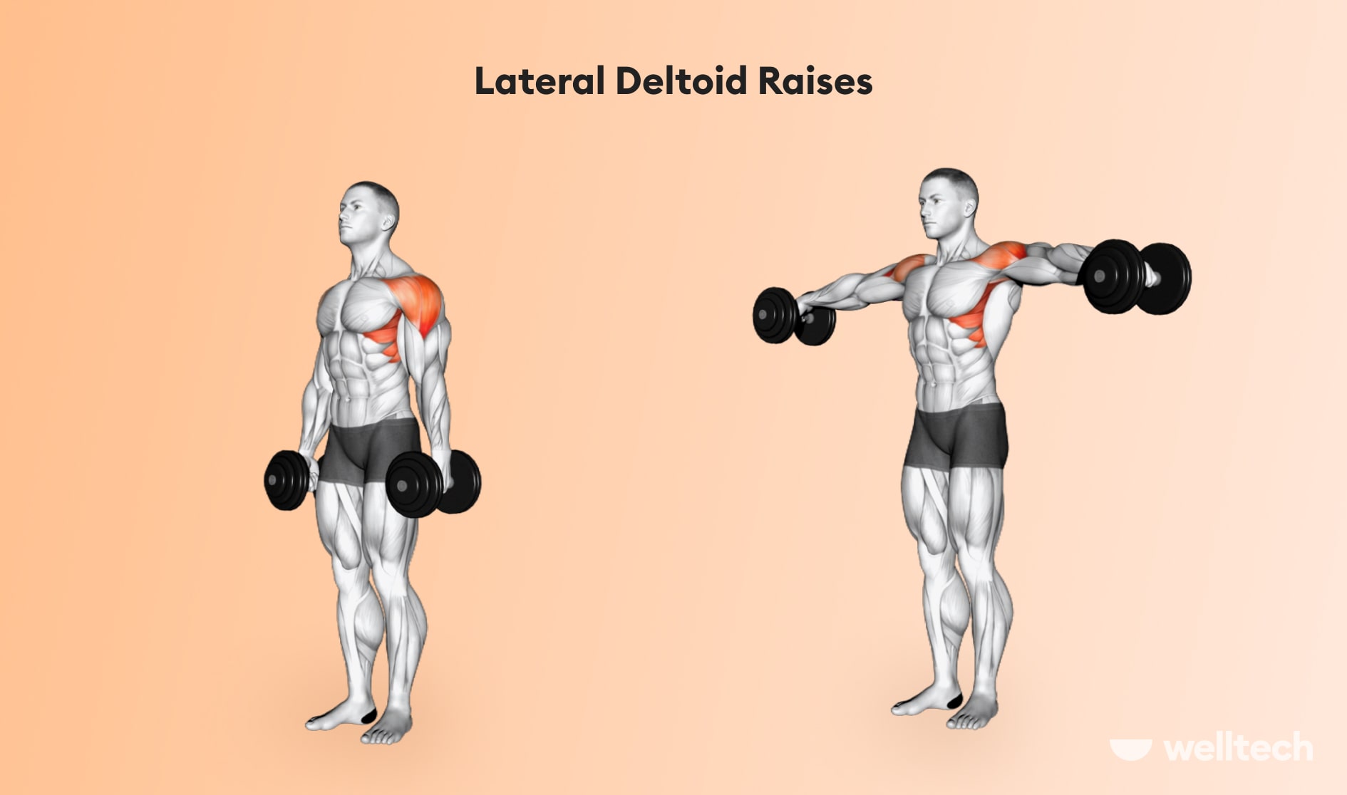 Full Shoulder Workout  Shoulder workout, Basic gym workout, Gym shoulder  workout
