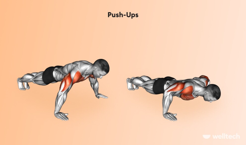 a man is performing Push-Ups_chest and shoulder workout