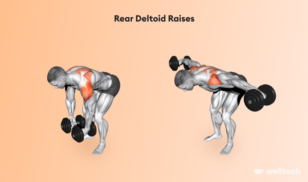 a man is doing Rear Deltoid Raises with dumbbells_chest and shoulder workout