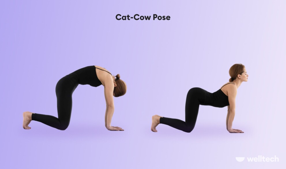 a woman is practicing Cat-Cow Pose_Marjaryasana and Bitilasana_shoulder yoga poses