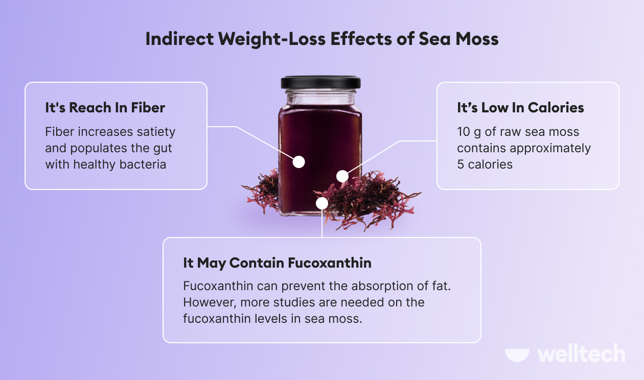 sea moss weight loss facts and possible effects listed_sea moss for weight loss