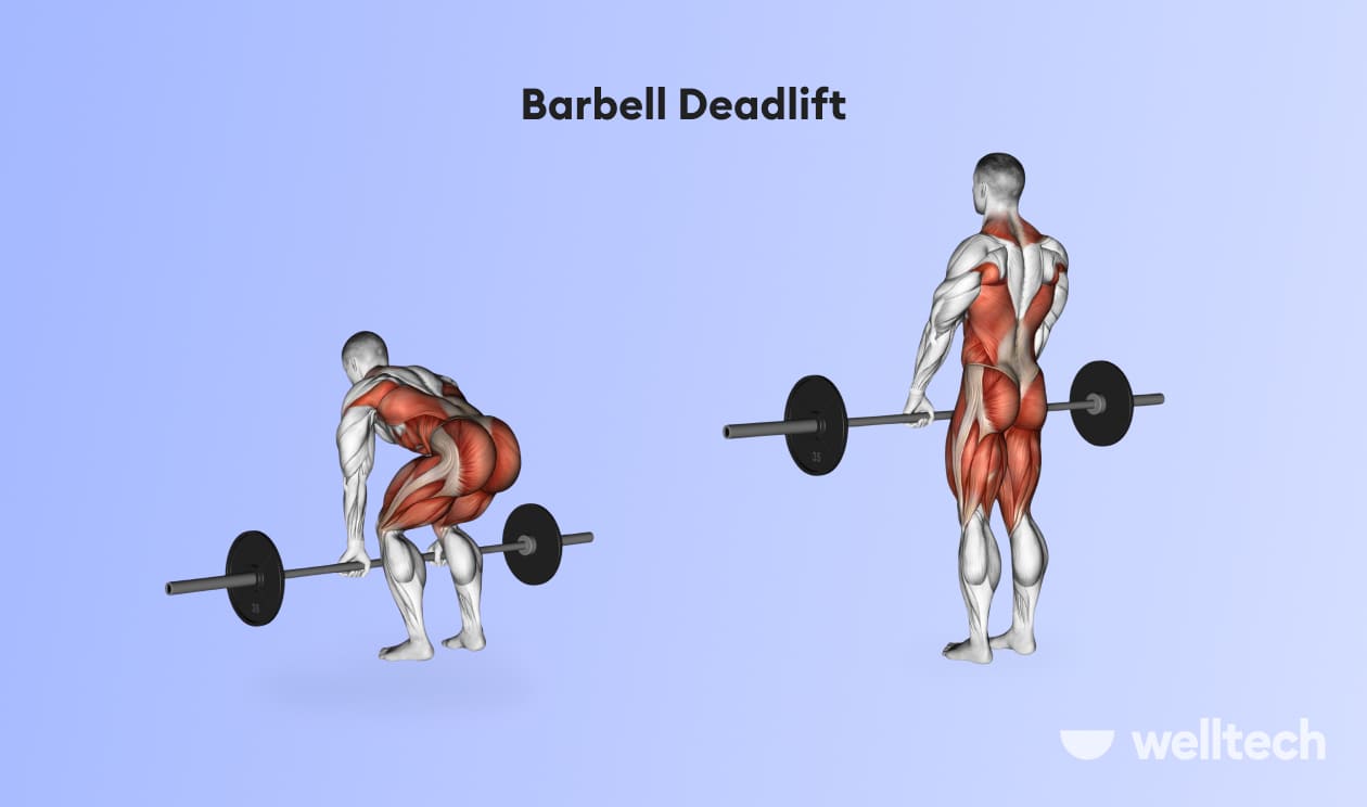 a man is performing Barbell Deadlift_back and shoulder workout