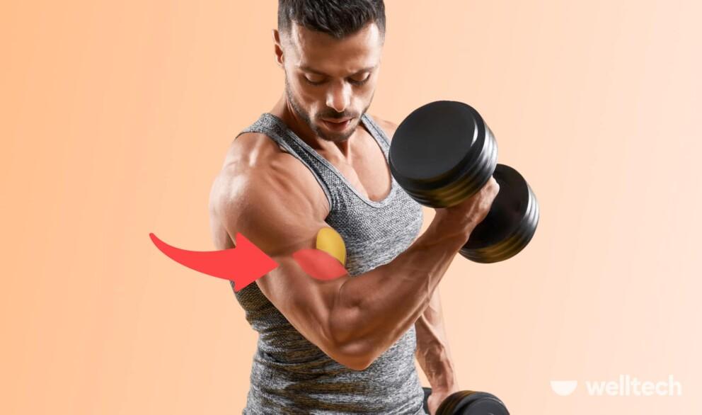 a man is working out with a dumbbell, biceps and brachialis muscle highlighted, Brachialis Workout
