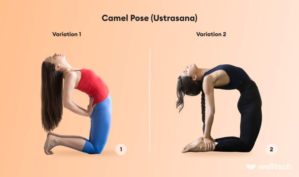 two women are practicing Camel Pose, beginner and advanced variation, Ustrasana, yoga kneeling pose
