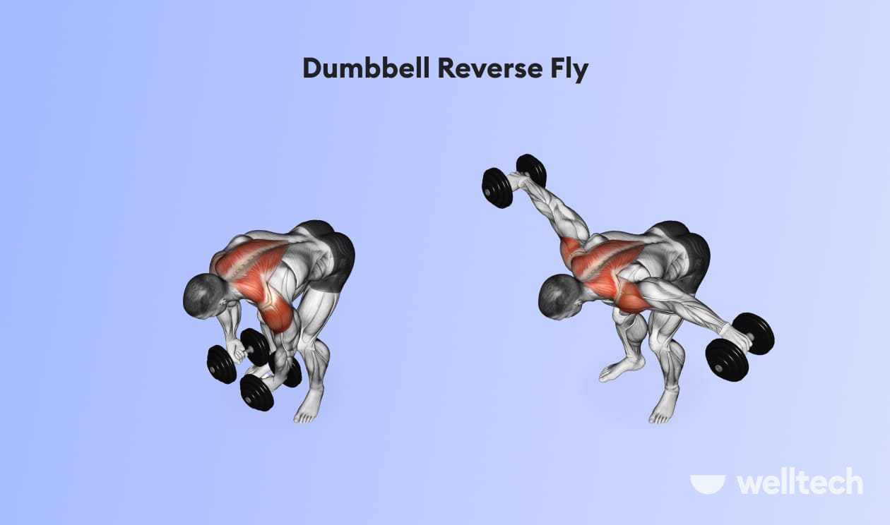 a man is doing Dumbbell Reverse Fly_back and shoulder workout