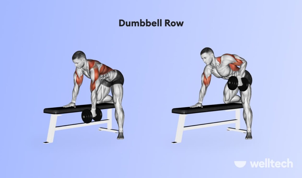 a male model is performing Dumbbell Row_back and shoulder workout