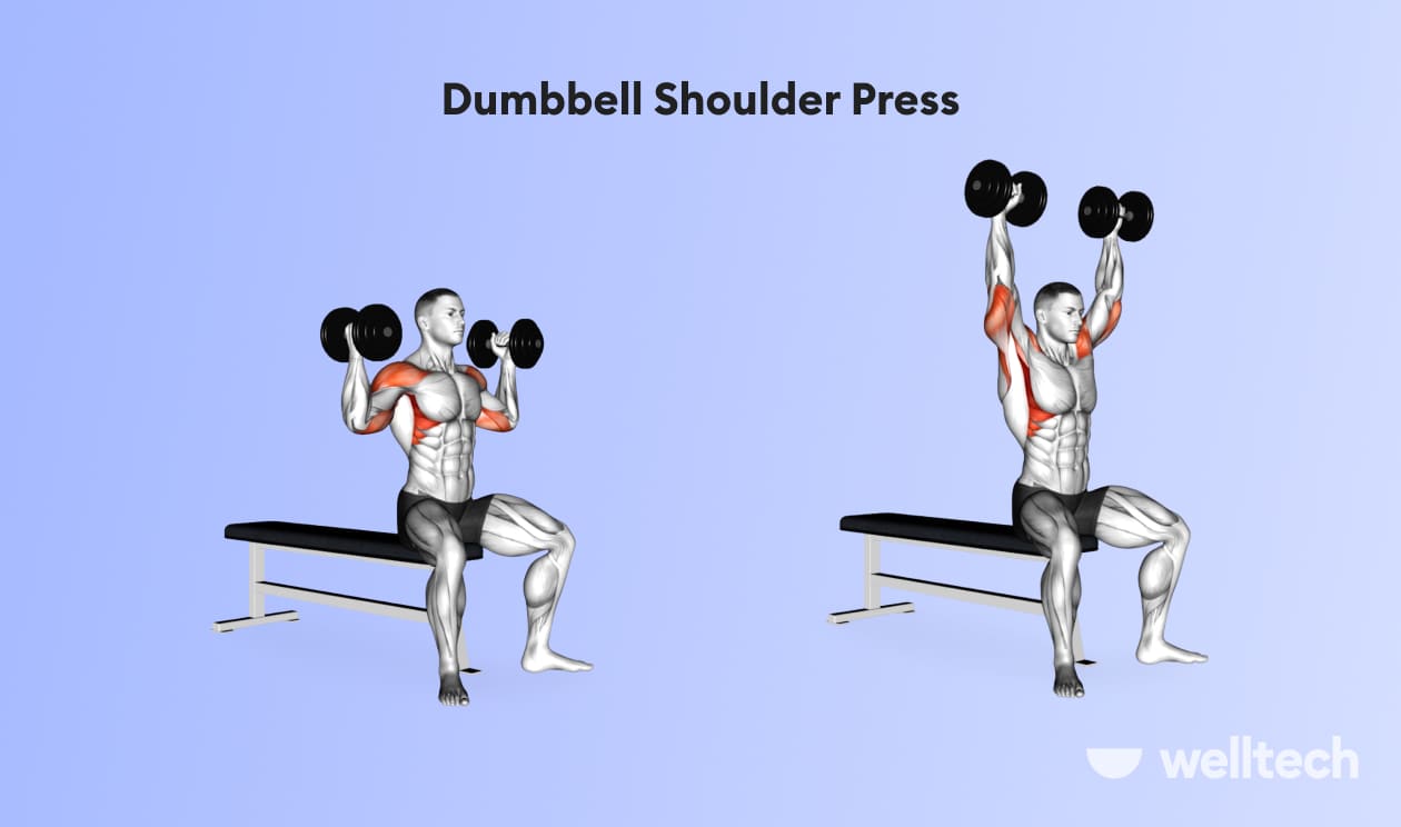 a man is performing Dumbbell Shoulder Press_back and shoulder workout