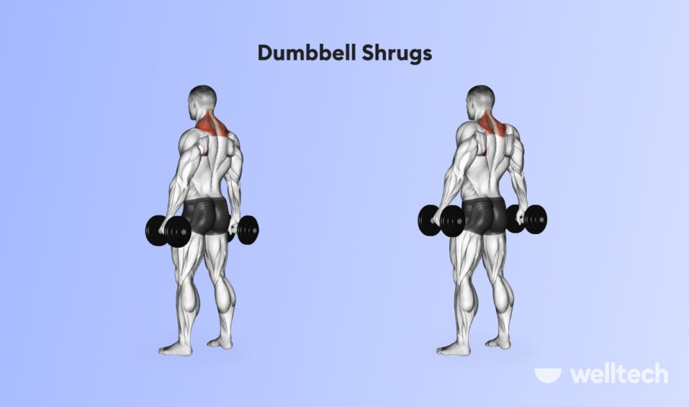 a male model is performing Dumbbell Shrugs_back and shoulder workout