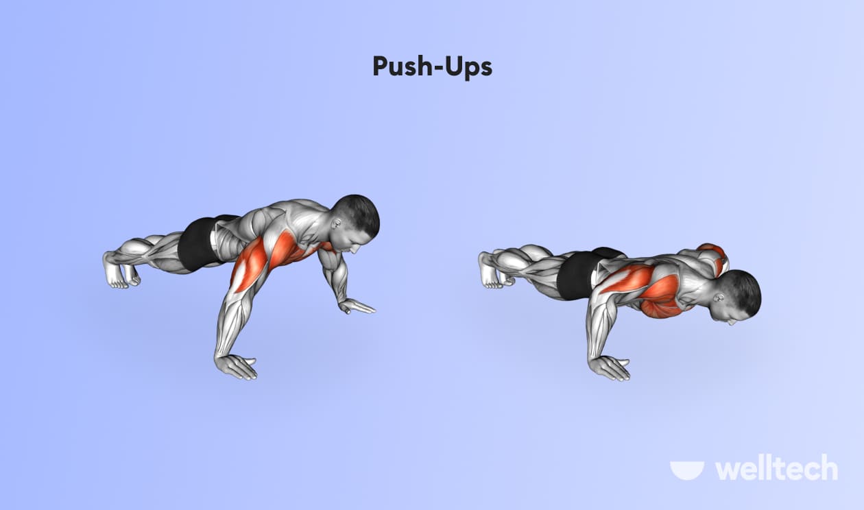 a man is performing Push-Ups_back and shoulder workout