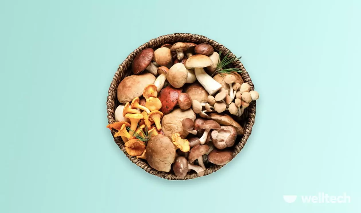 edible mushrooms in a bowl, are mushrooms good for weight loss
