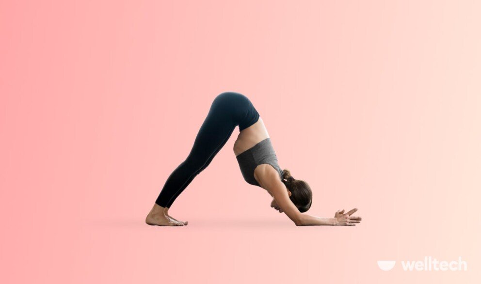 a woman is performing Dolphin Pose (Ardha Pincha Mayurasana)__core yoga poses