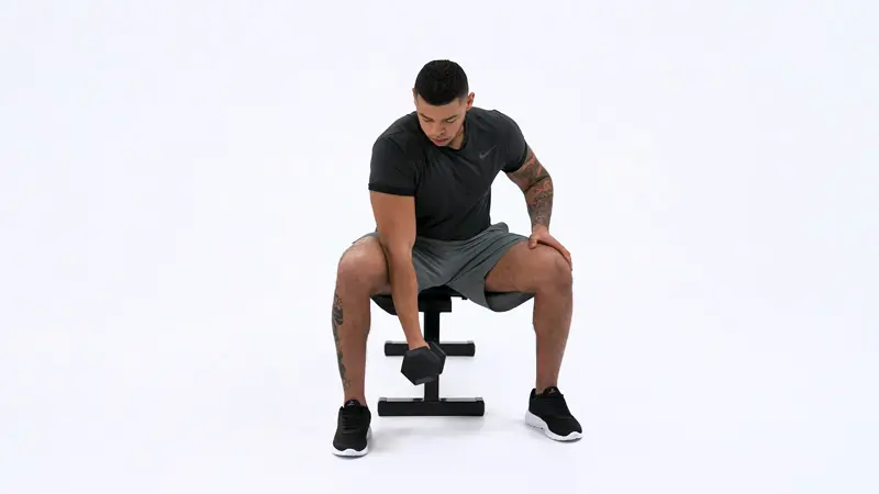 a man is performing Dumbbell Concentration Curl, short head bicep exercises