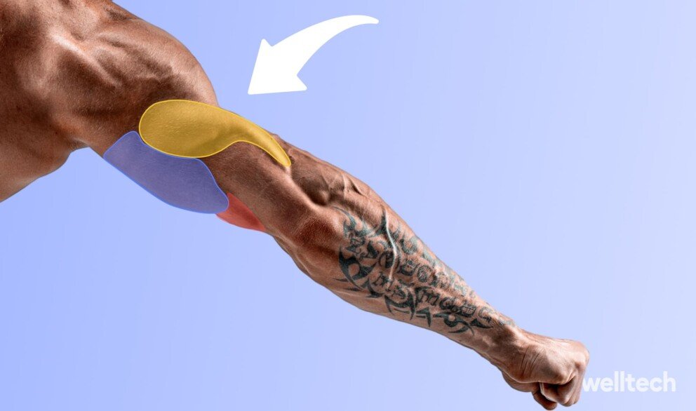 an extended man's arm with a tattoo, triceps muscles highlighted, lateral head triceps exercises
