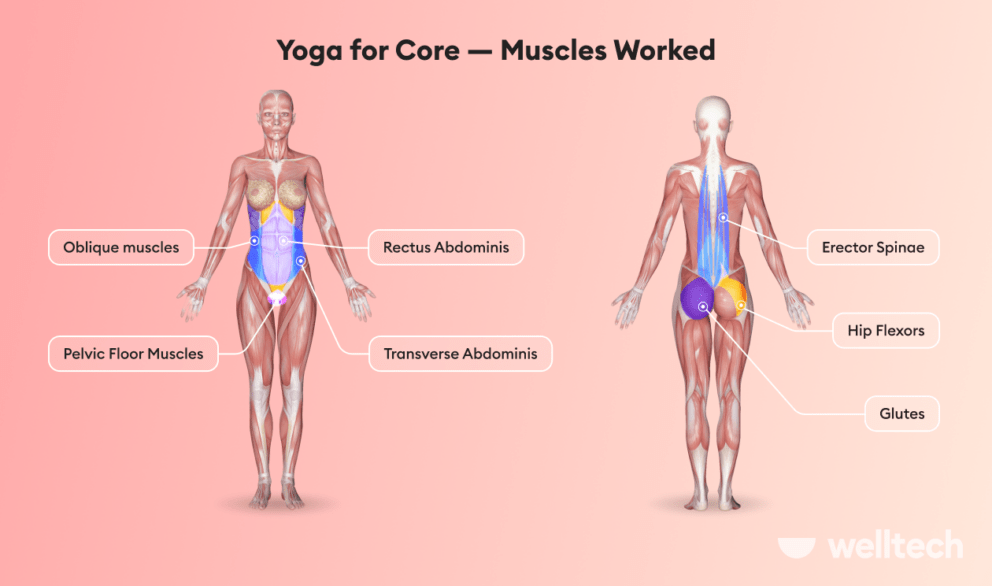 a female model with core muscles highlighted_core yoga poses