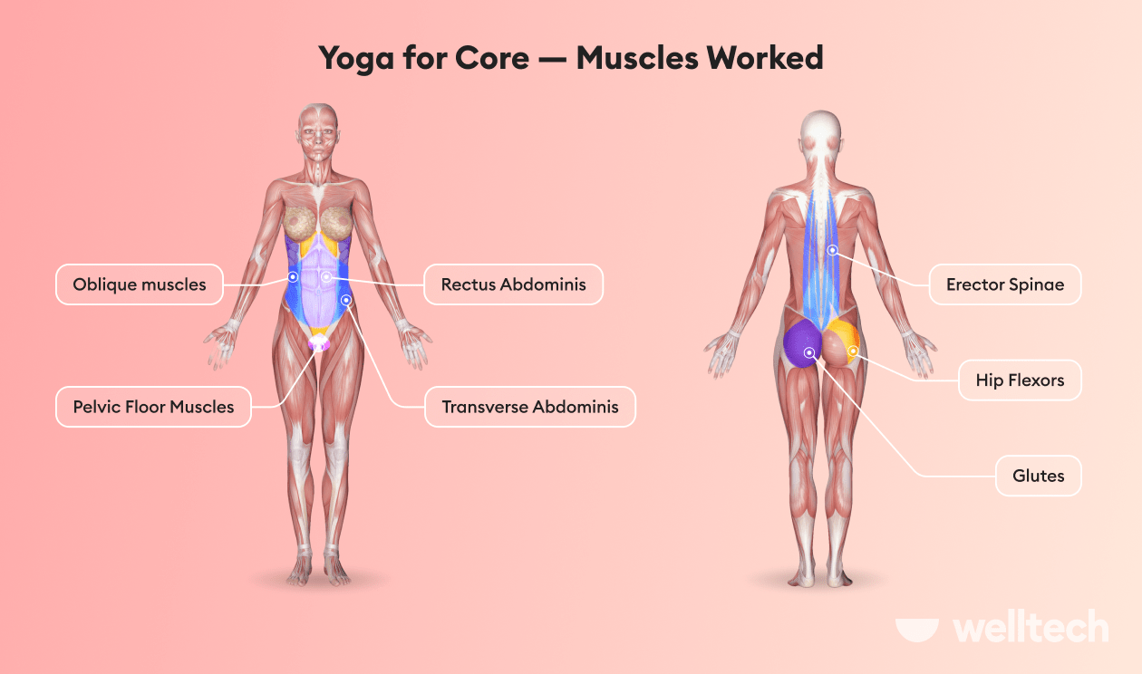 a female model with core muscles highlighted_core yoga poses