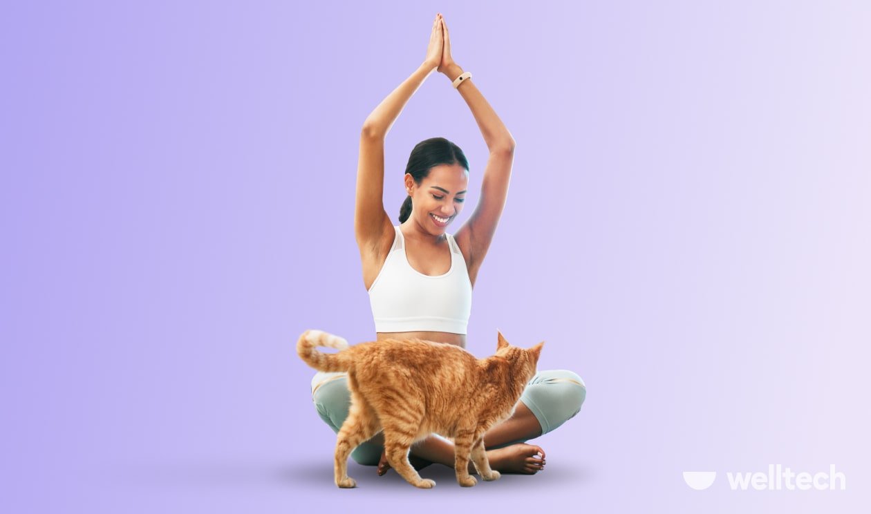 a young woman is practicing yoga, doing easy pose with her hands raised, smiling at her cat walking by, yoga warm up