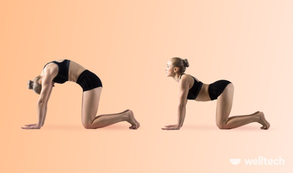 a woman is practicing yoga, doing cat and cow pose_Beginning Yoga For Seniors