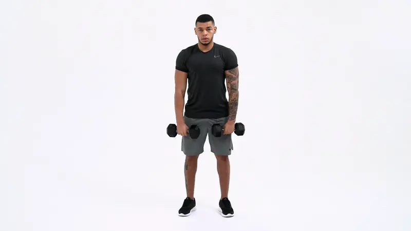 a man is doing Dumbbell_Reverse_Grip_Bicep_Curl_long head bicep exercises