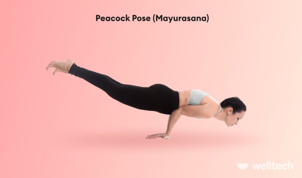 a woman is practicing Peacock Pose (Mayurasana)_crazy yoga poses